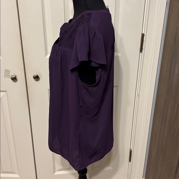 Daniel Rainn Farrah Flutter Sleeve Blouse - Picture 7 of 10